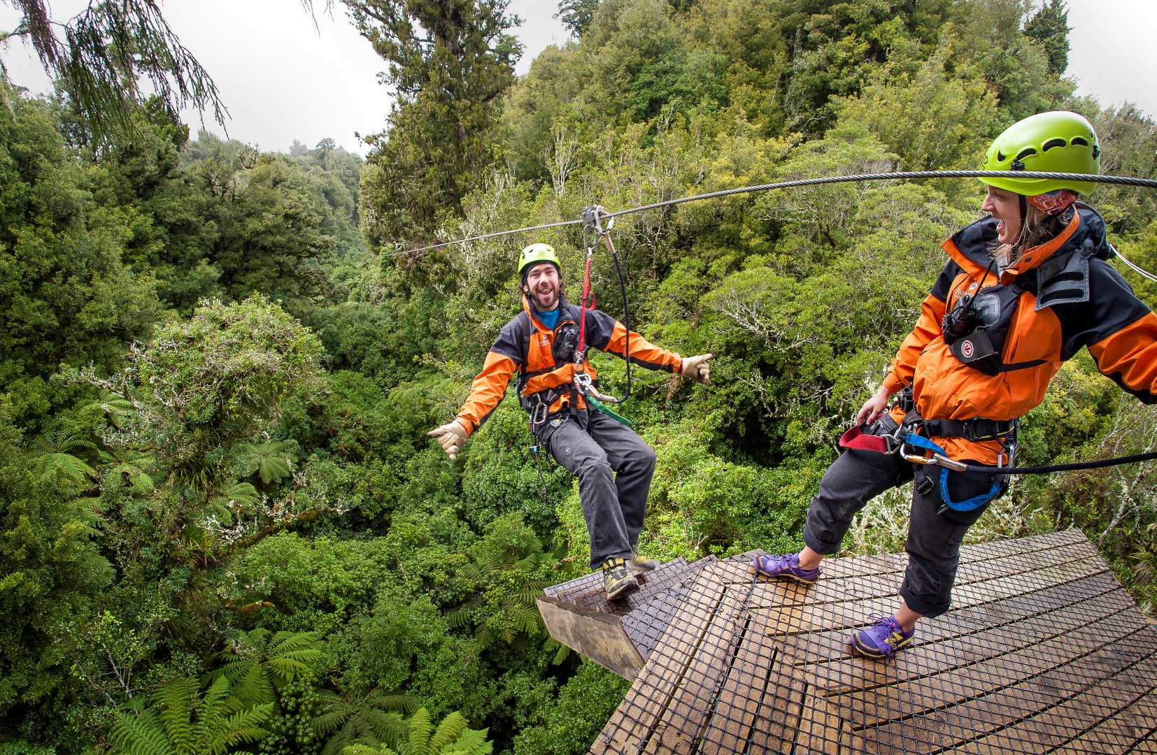 Rotorua Canopy Tours