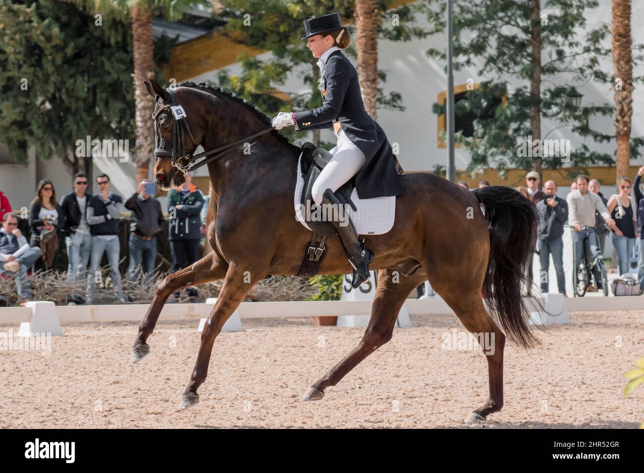 Royal Andalusian School of Equestrian Art