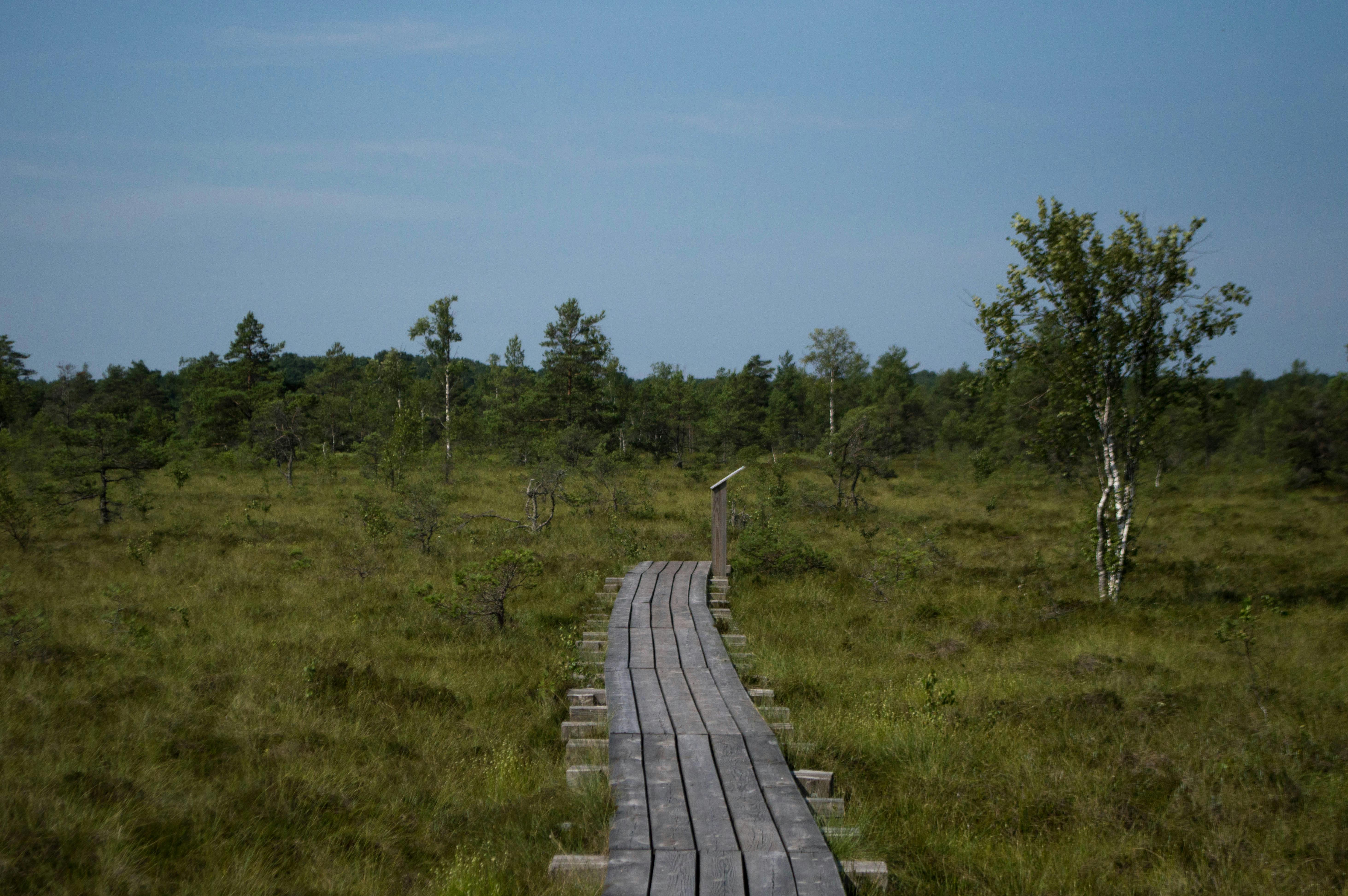 Saaremaa Opera Days