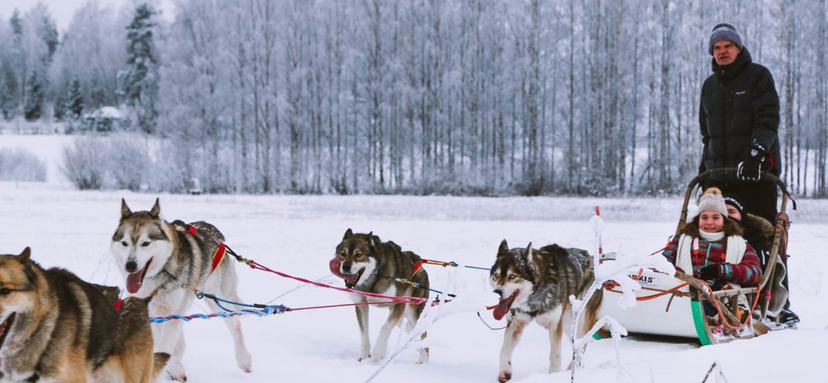 Saariselkä Husky Farm