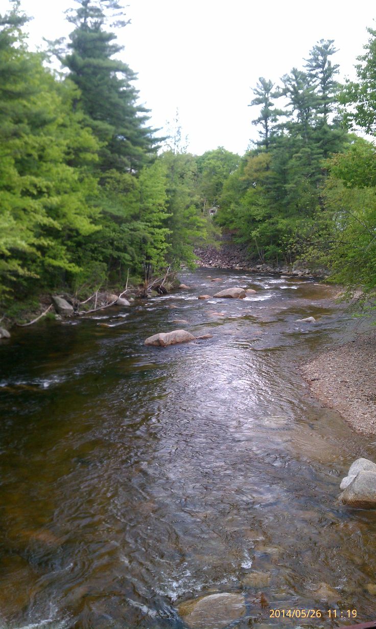 Saco River