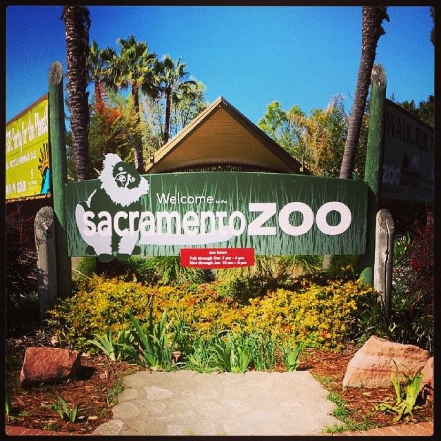 Sacramento Zoo