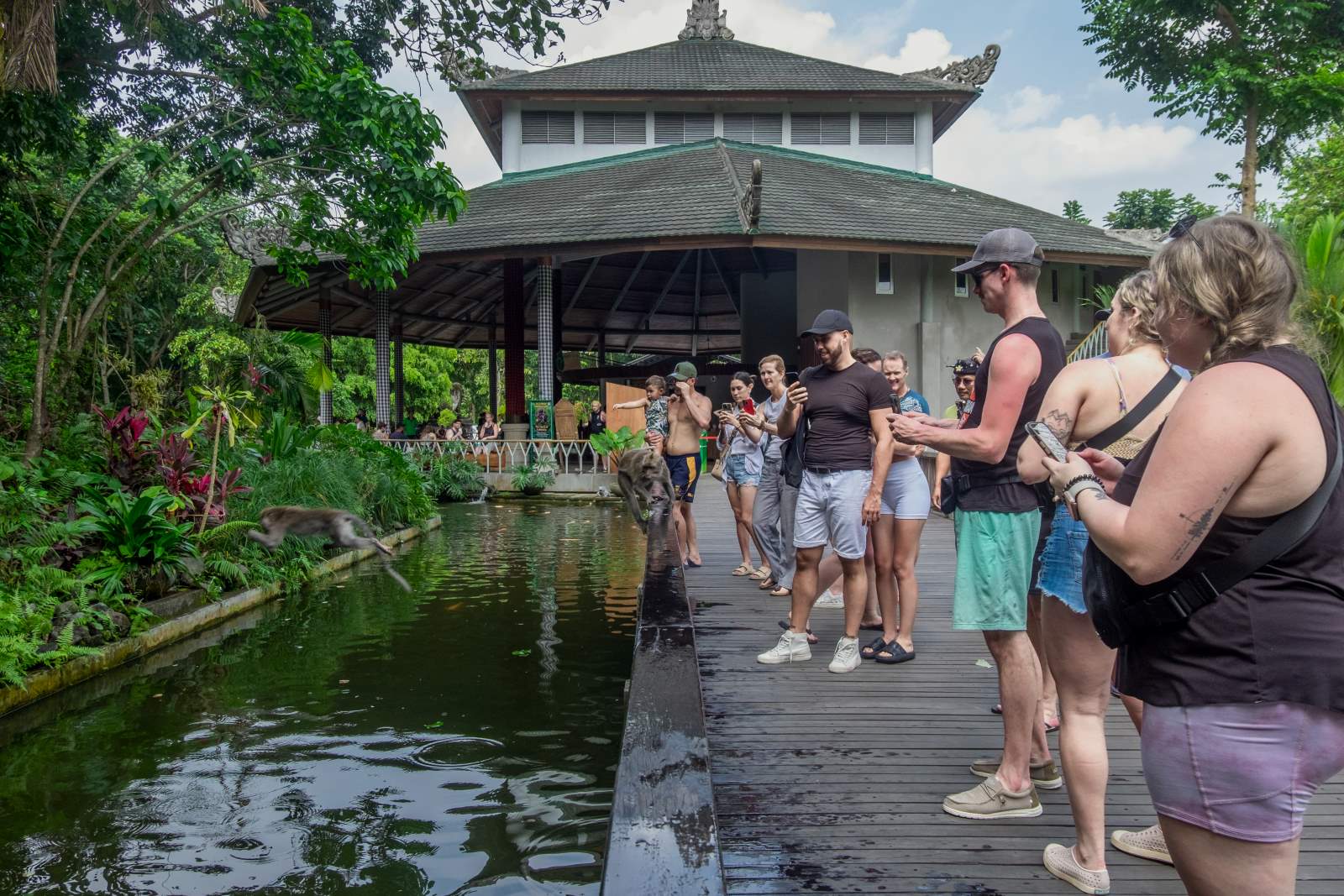 Sacred Monkey Forest Sanctuary