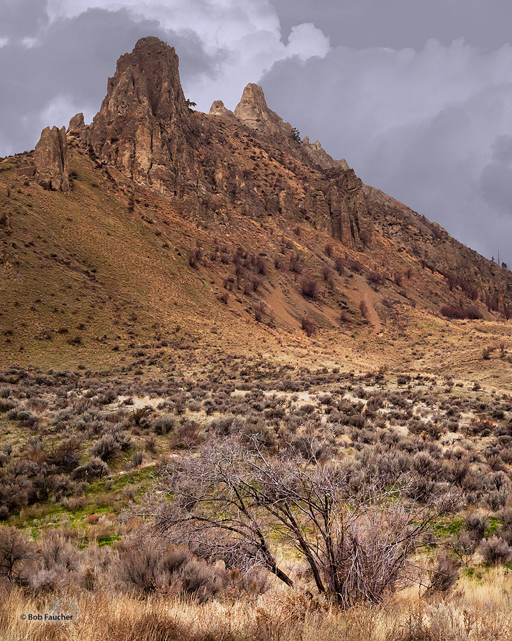 Saddle Rock Natural Area