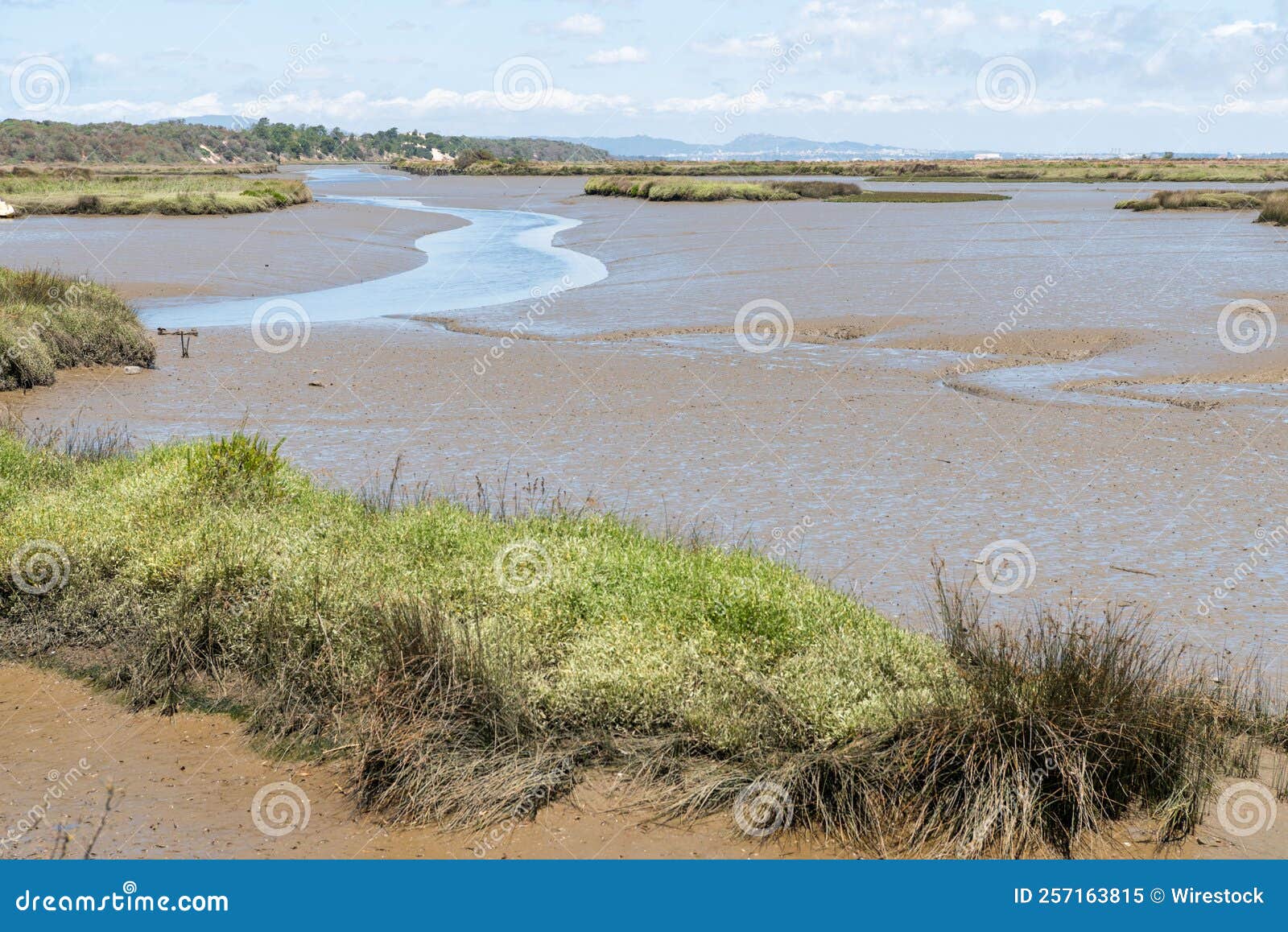 Sado Estuary Natural Reserve