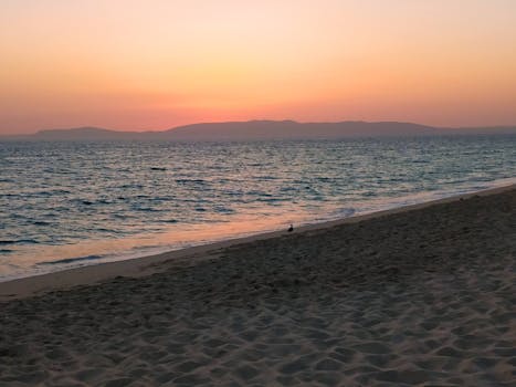 Sado Estuary Natural Reserve