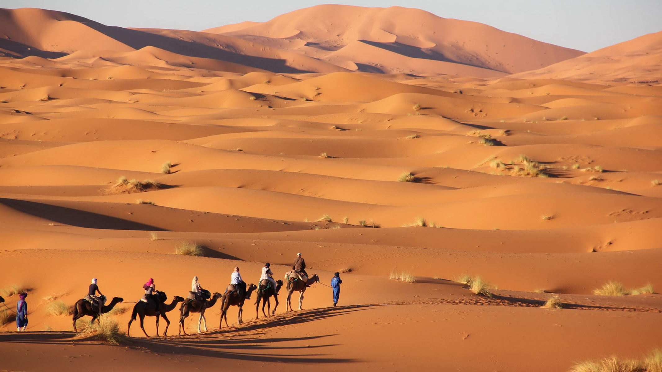 Sahara Desert (camping experience)