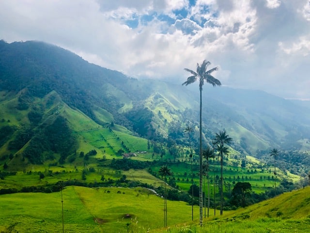 Salento and Cocora Valley