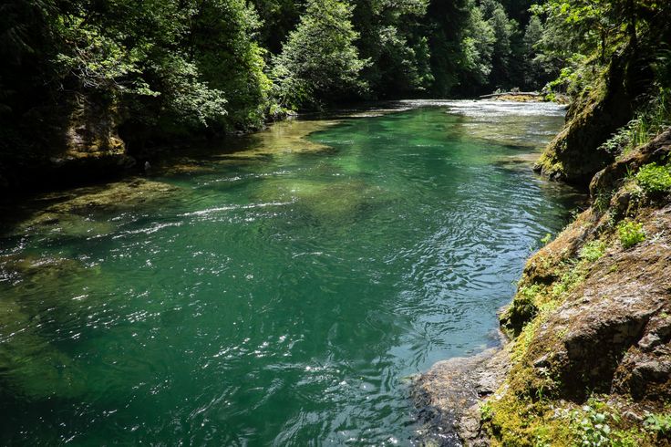 Salmon Creek Falls