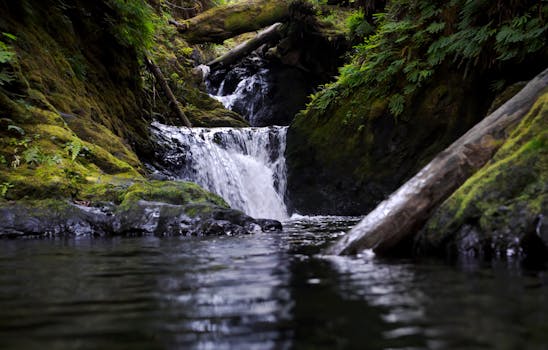 Salt Creek Recreation Area