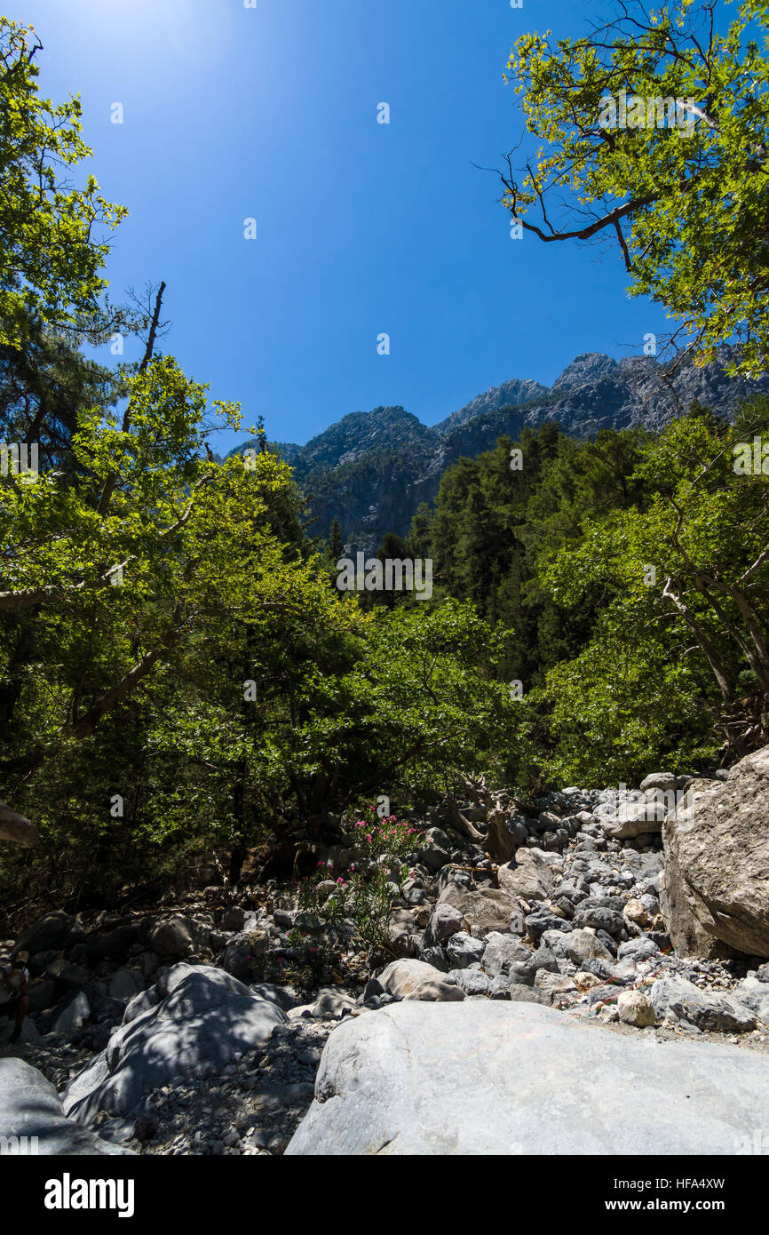 Samaria Gorge