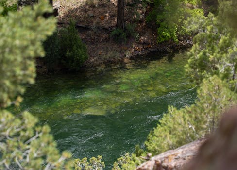 San Pedro Riparian National Conservation Area