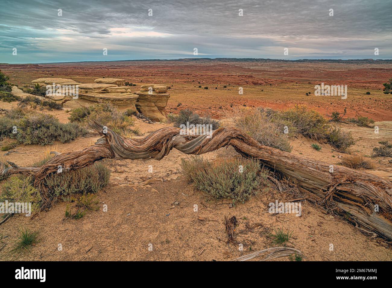 San Rafael Swell