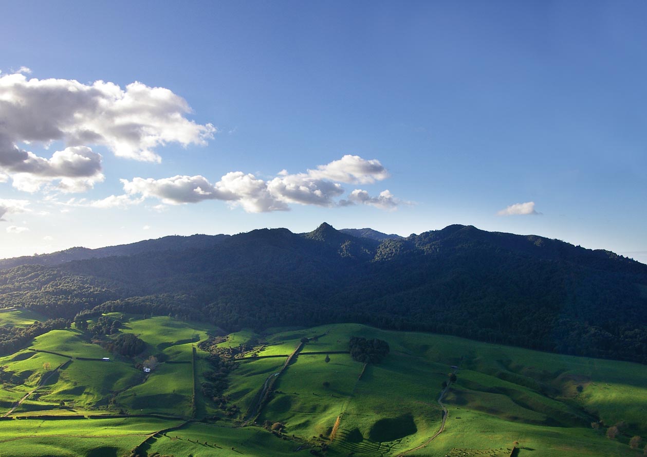 Sanctuary Mountain Maungatautari