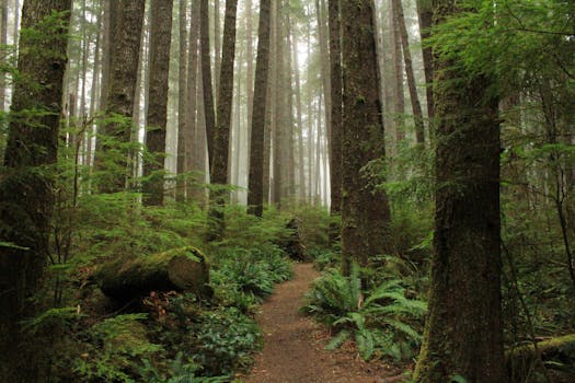 Sanctuary Woods Preserve