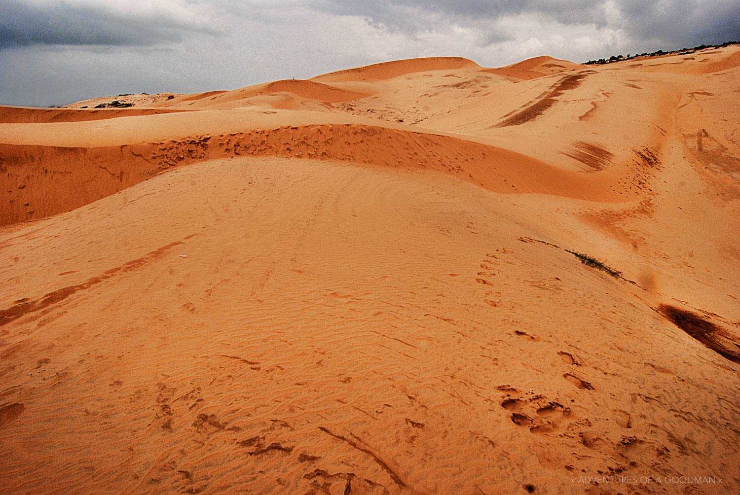 Sand Dunes