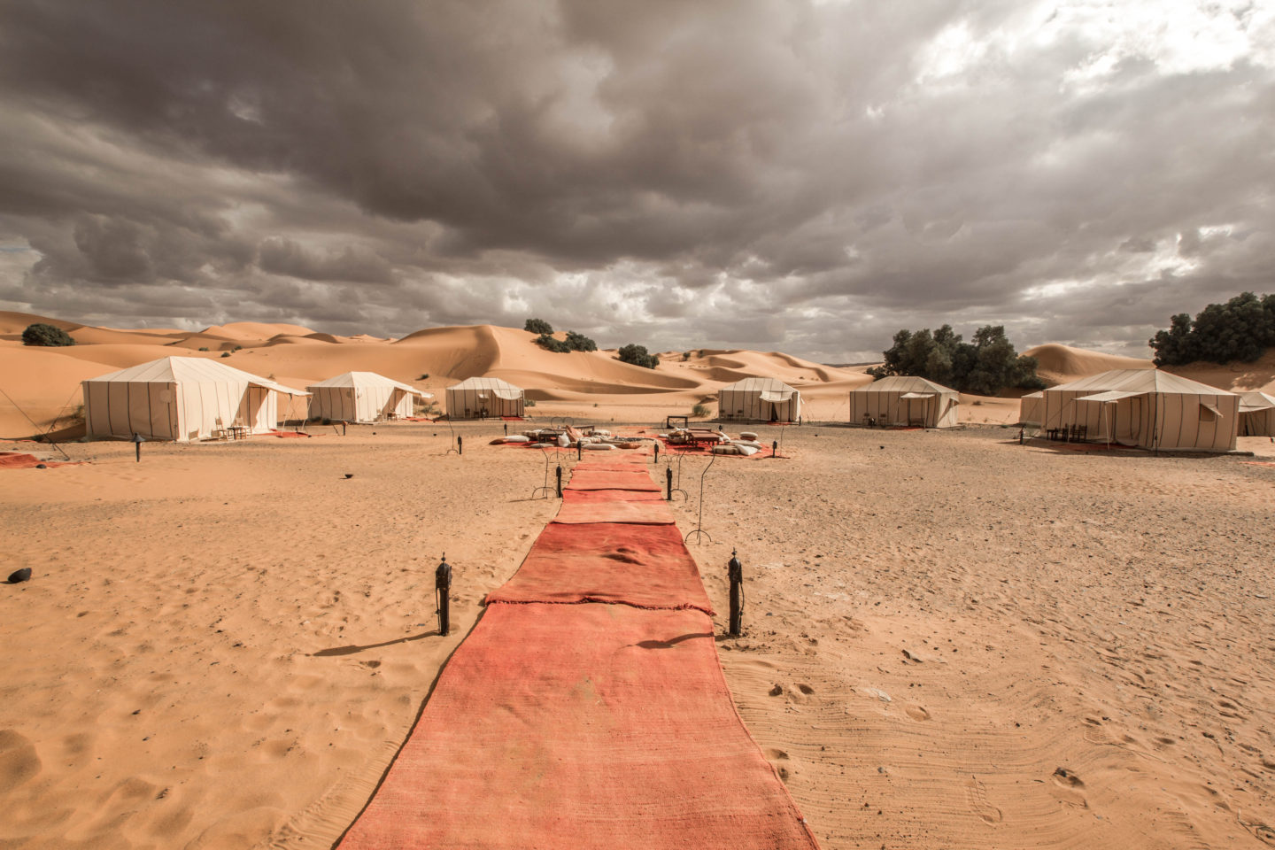 Sandboarding at Desert Camp