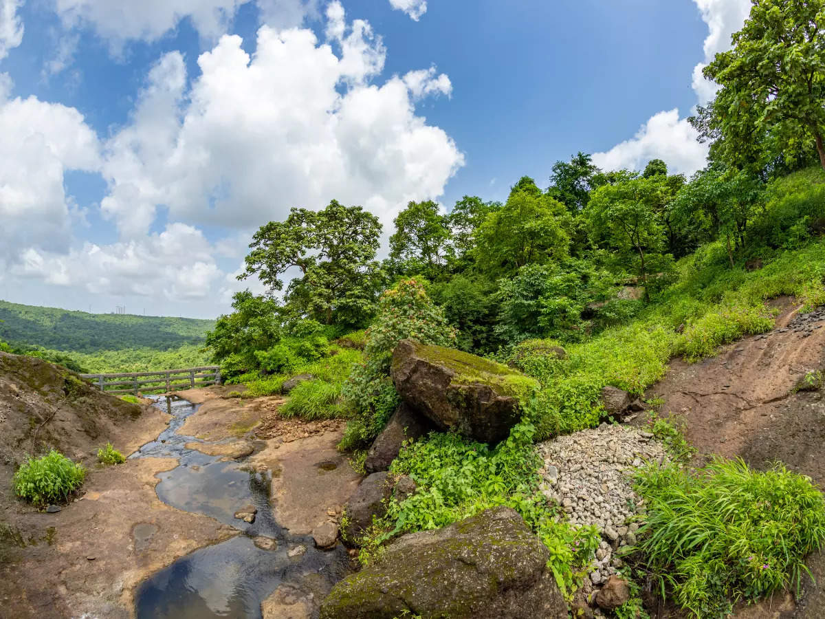 Sanjay Gandhi National Park