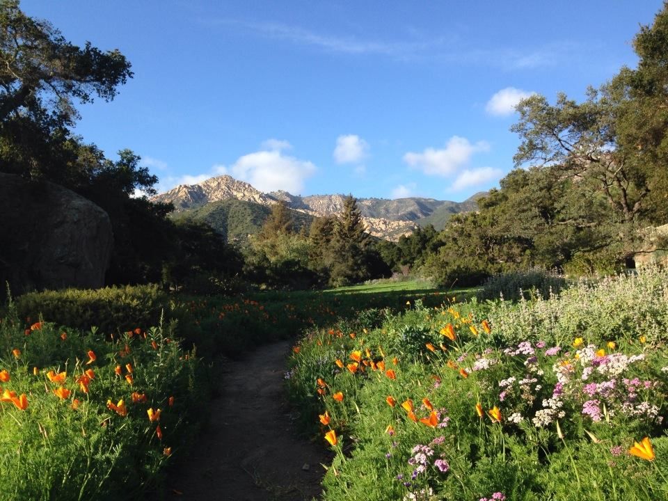 Santa Barbara Botanic Garden