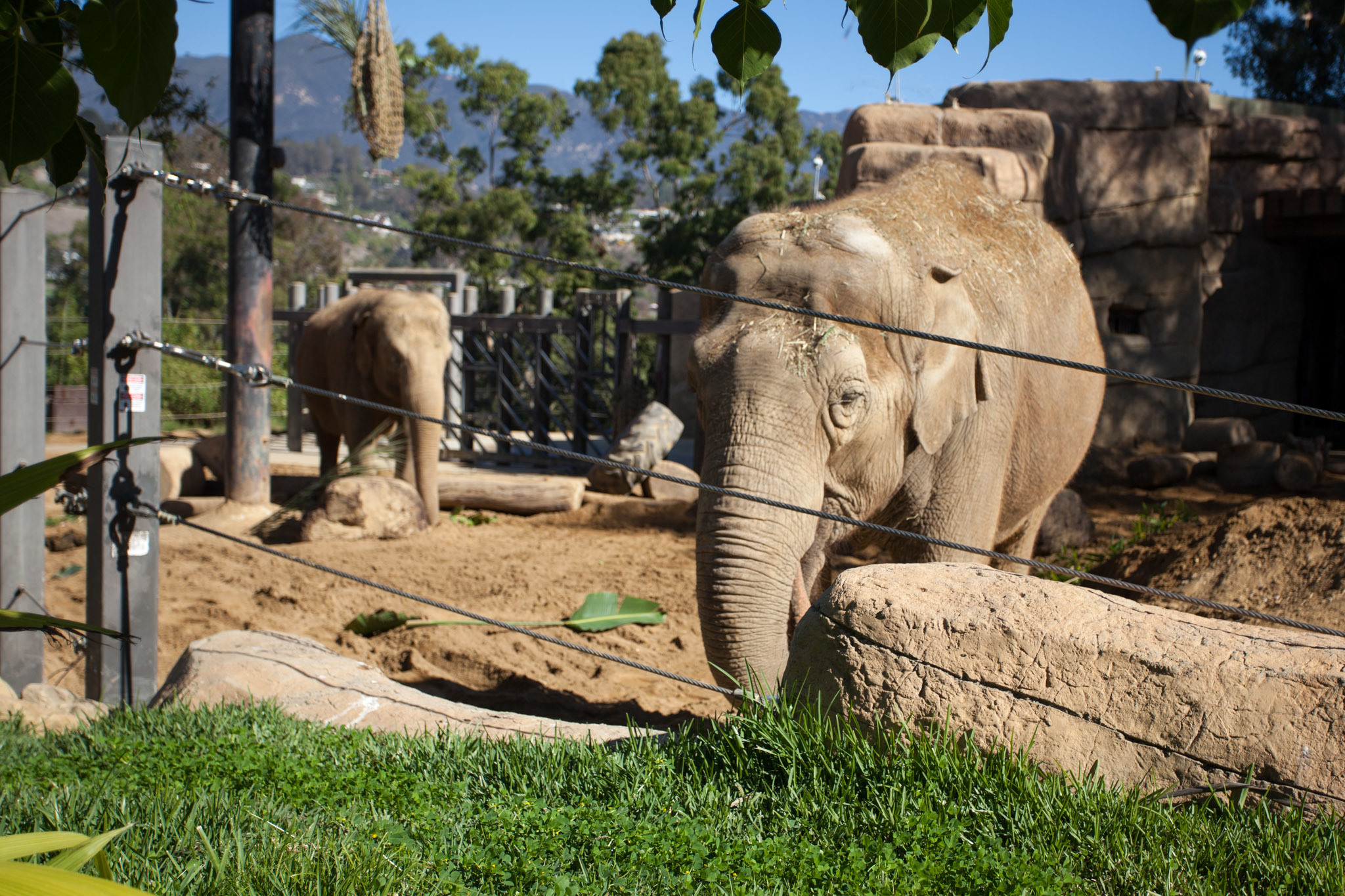 Santa Barbara Zoo