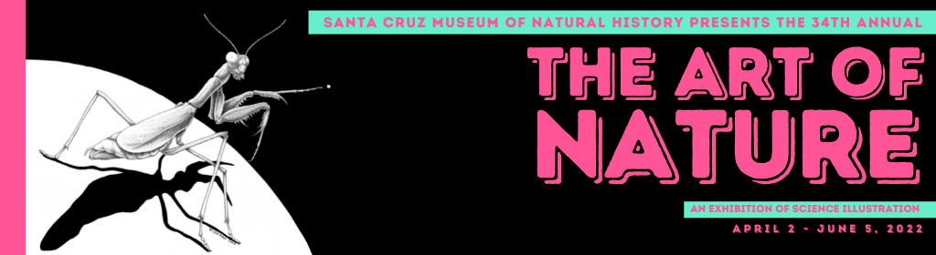 Santa Cruz Museum of Natural History