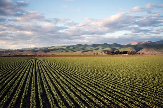 Santa Maria Valley Discovery Museum