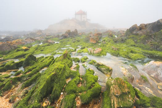 Santuário Nacional de Nossa Senhora da Conceição de Vila Viçosa