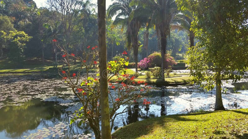 Sao Paulo Botanical Garden