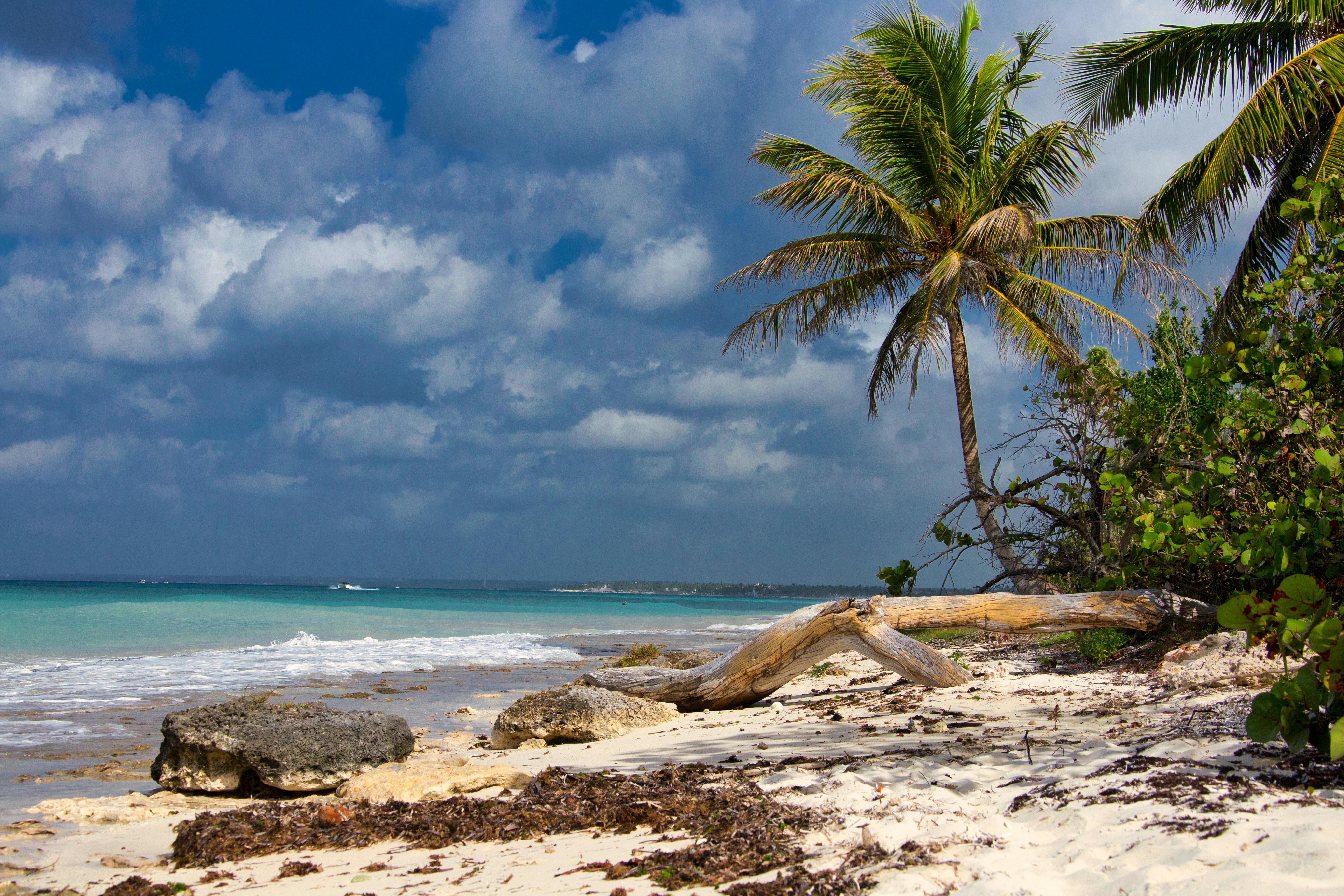 Saona Island