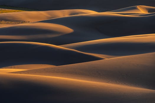 Saugatuck Dunes State Park