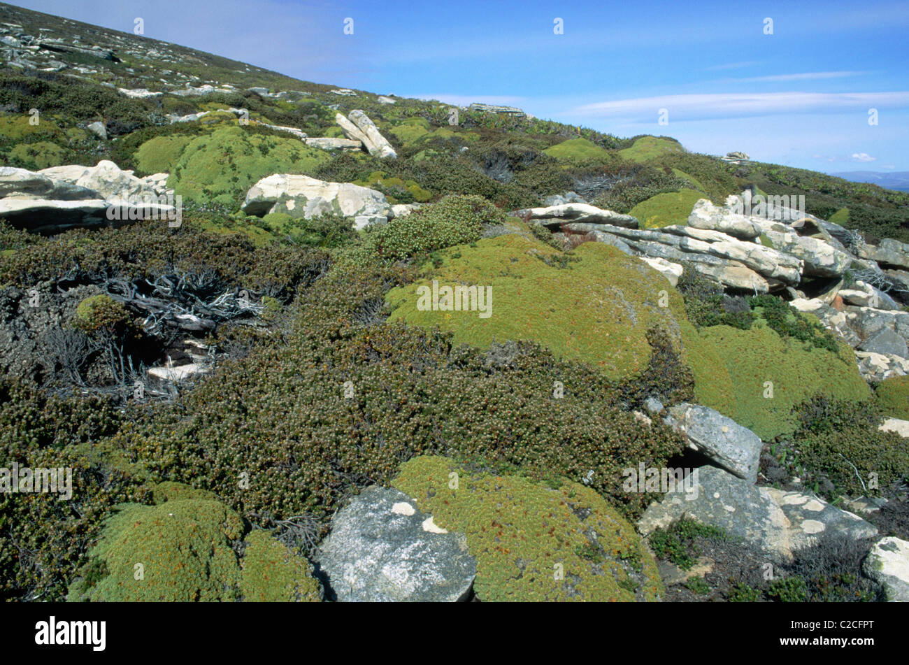 Saunders Island