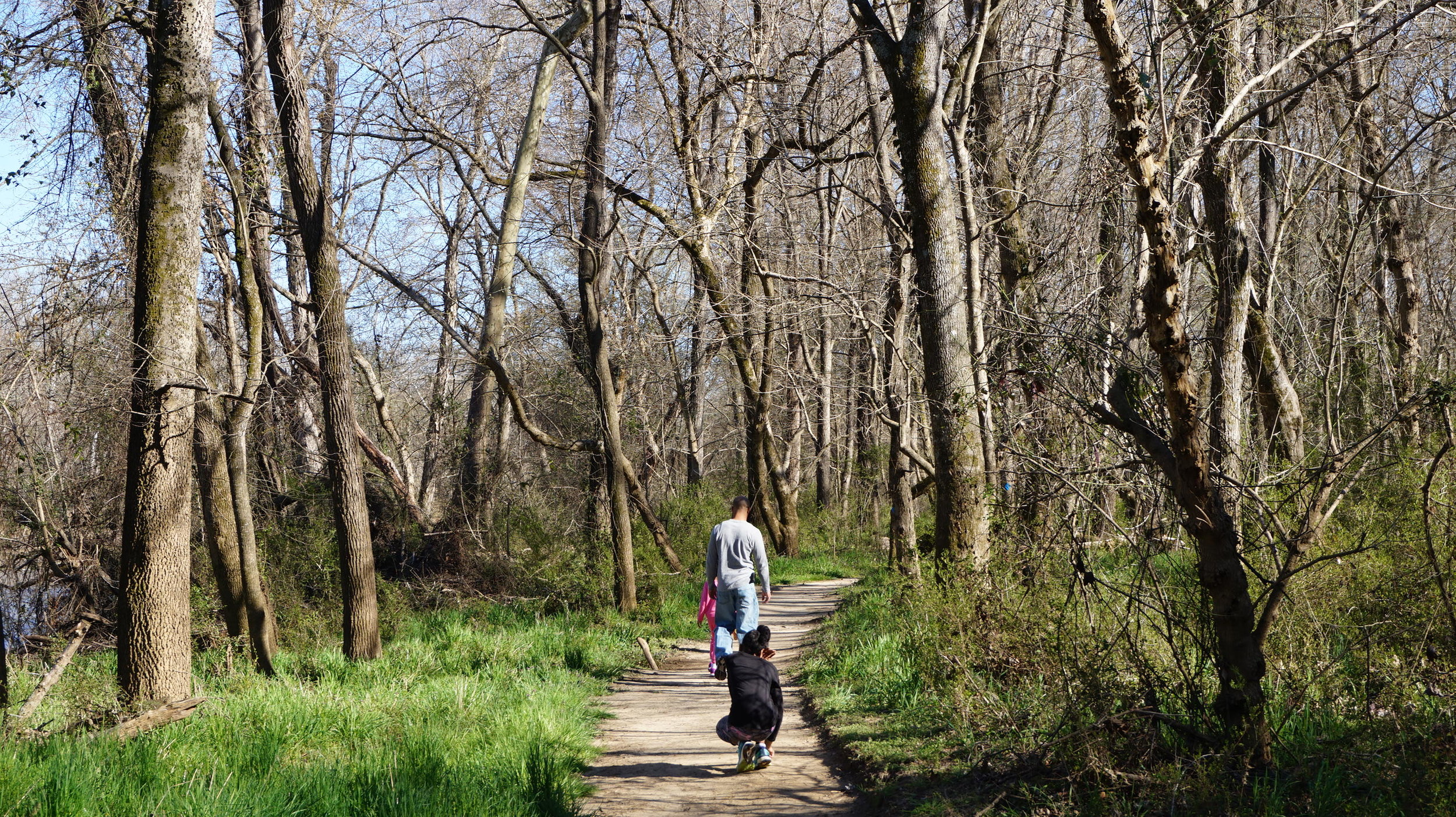 Saxapahaw Island Park