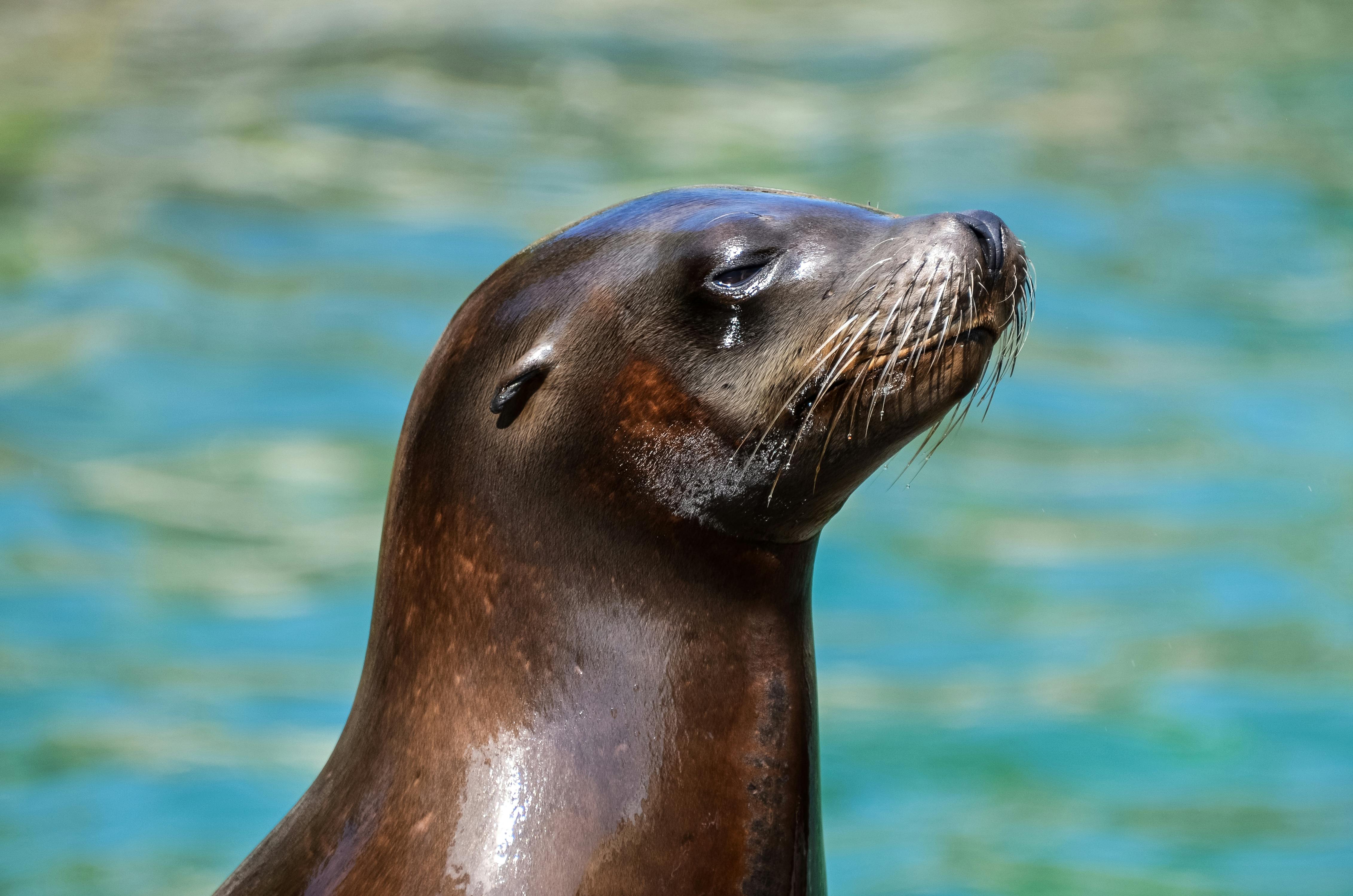 Sea Life Konstanz