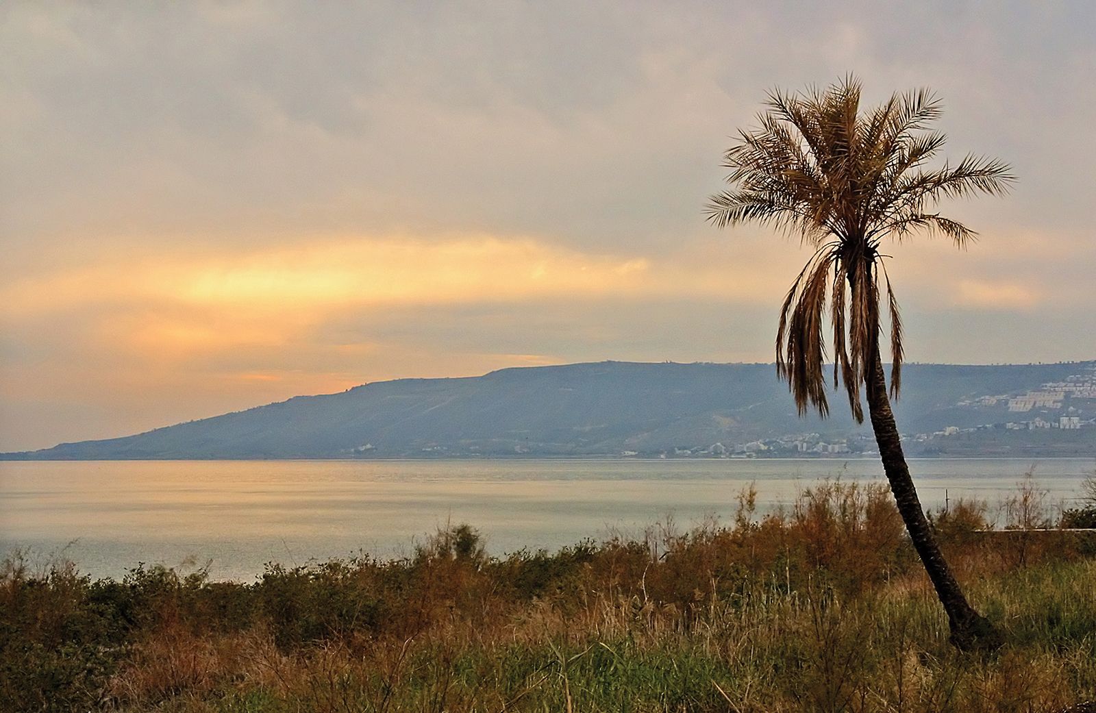 Sea of Galilee