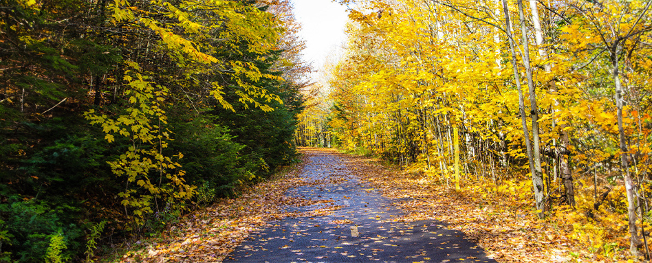 Sentier Les Florents