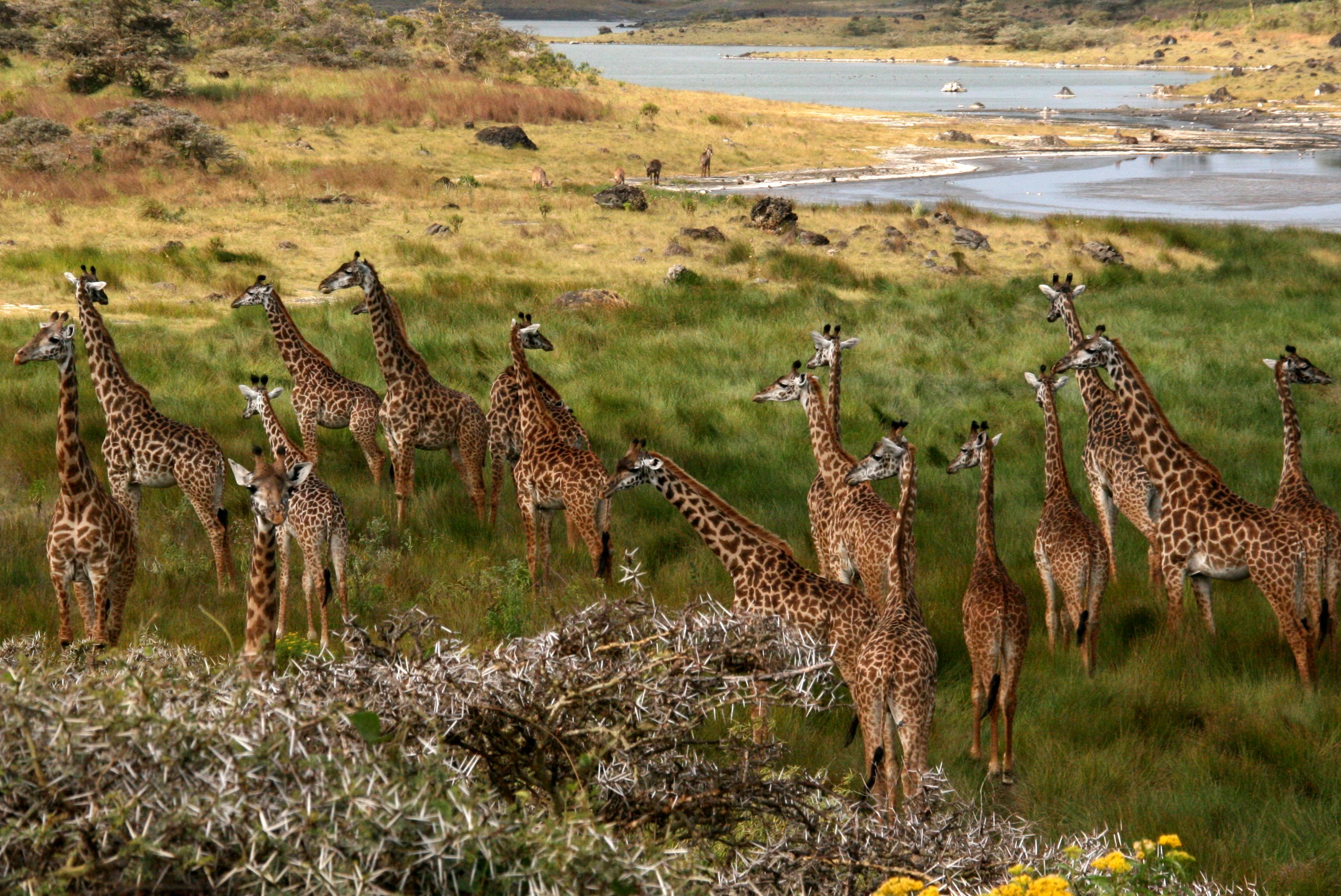 Serengeti National Park