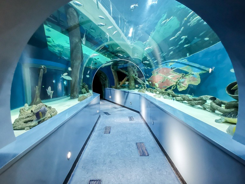 Sharjah Aquarium