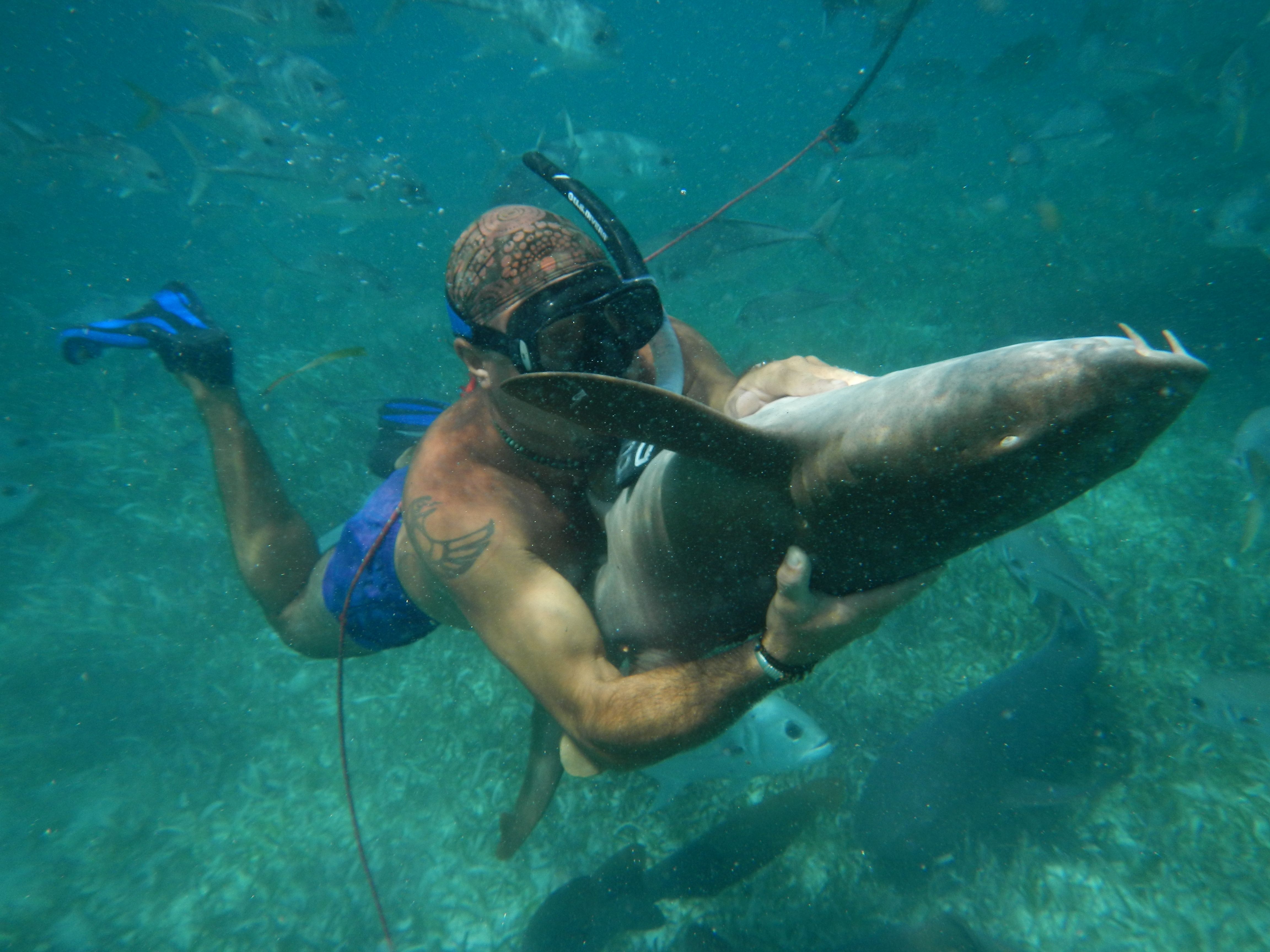 Shark Ray Alley