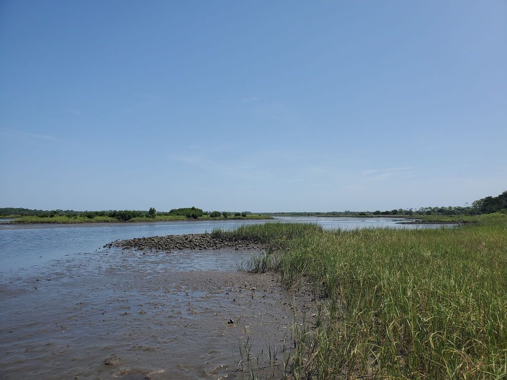 Shell Mound Park