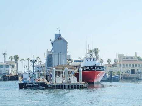 Shelter Cove Harbour & Marina