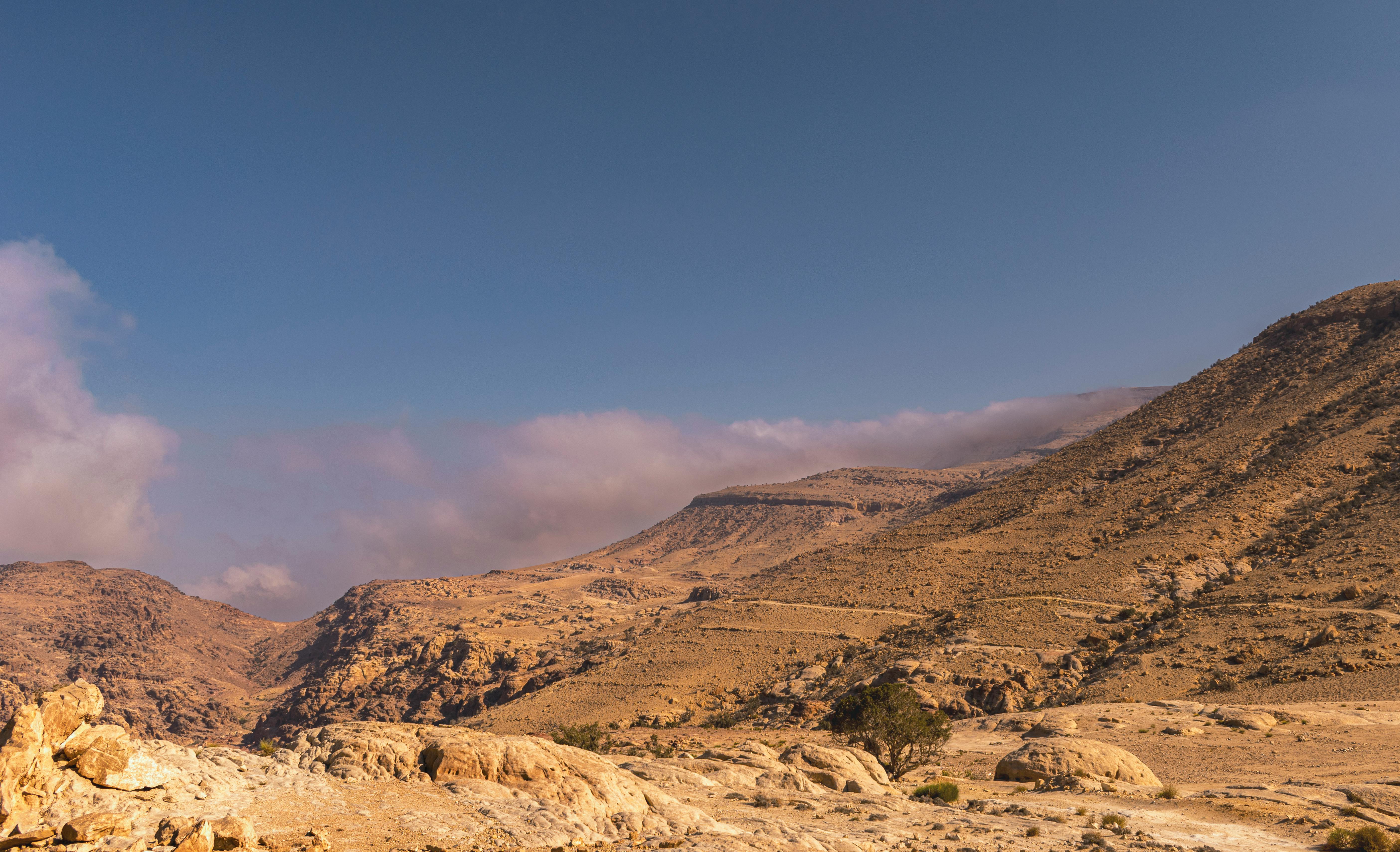 Shobak Castle