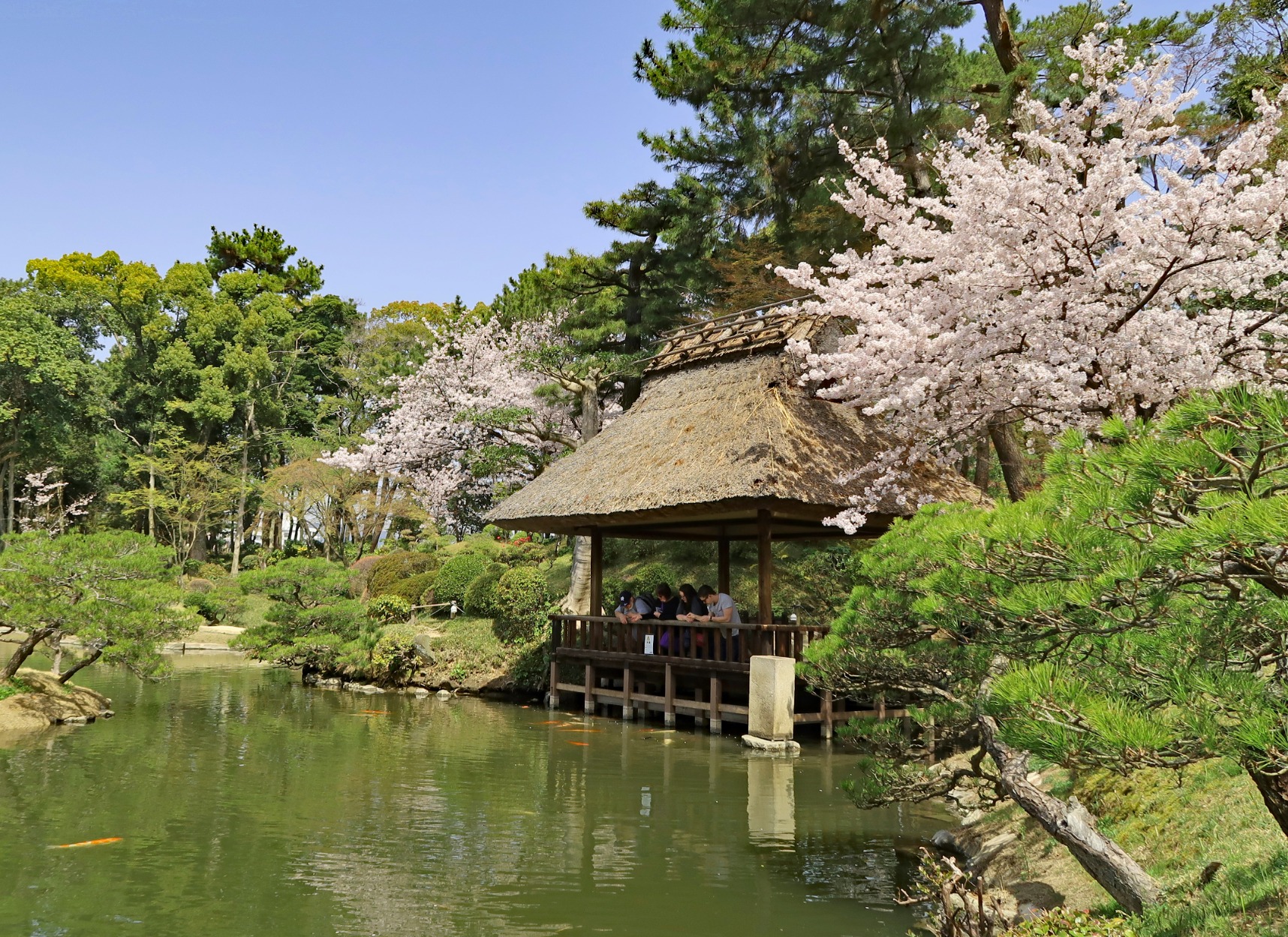 Shukkeien Garden