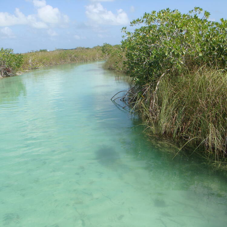 Sian Ka'an Biosphere Reserve