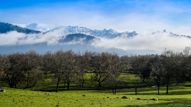 Sierra de Guadarrama National Park