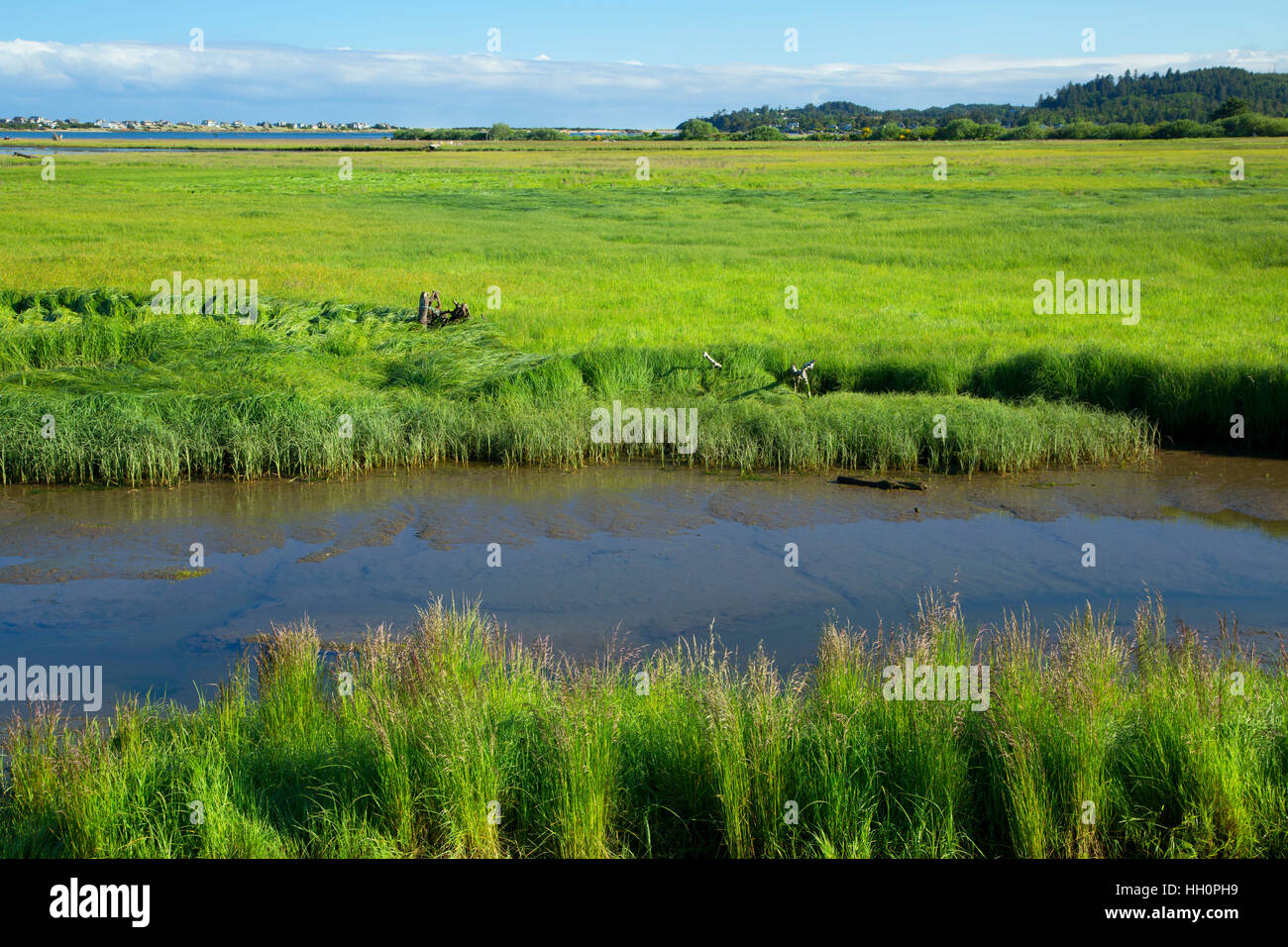 Siletz Bay National Wildlife Refuge