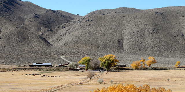 Silver Saddle Ranch