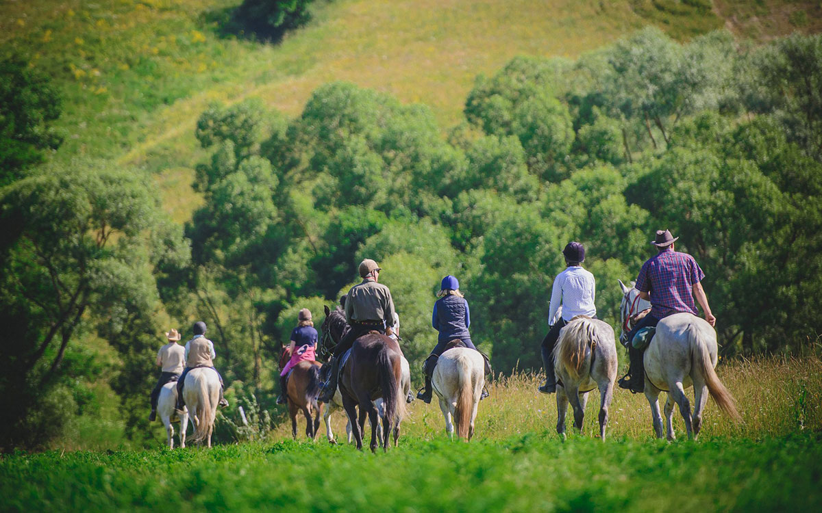 Sinaia Horseback Riding