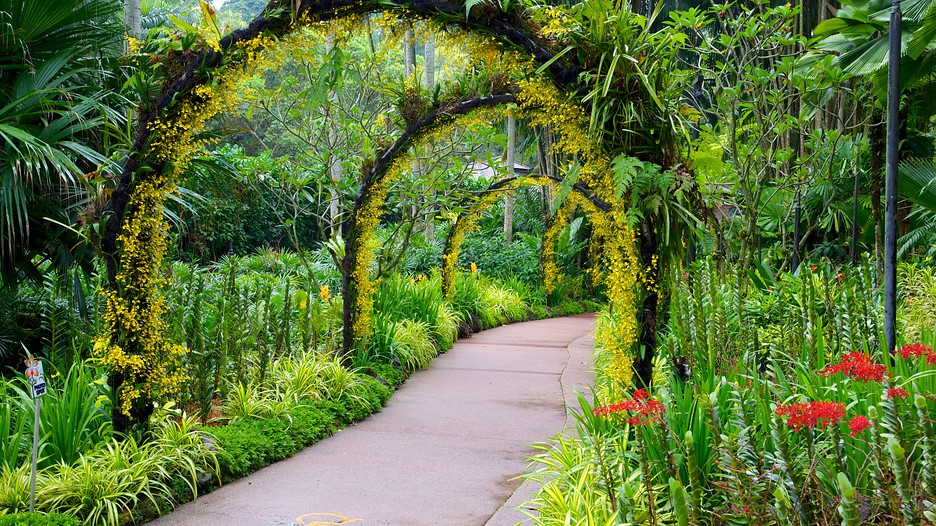 Singapore Botanic Gardens