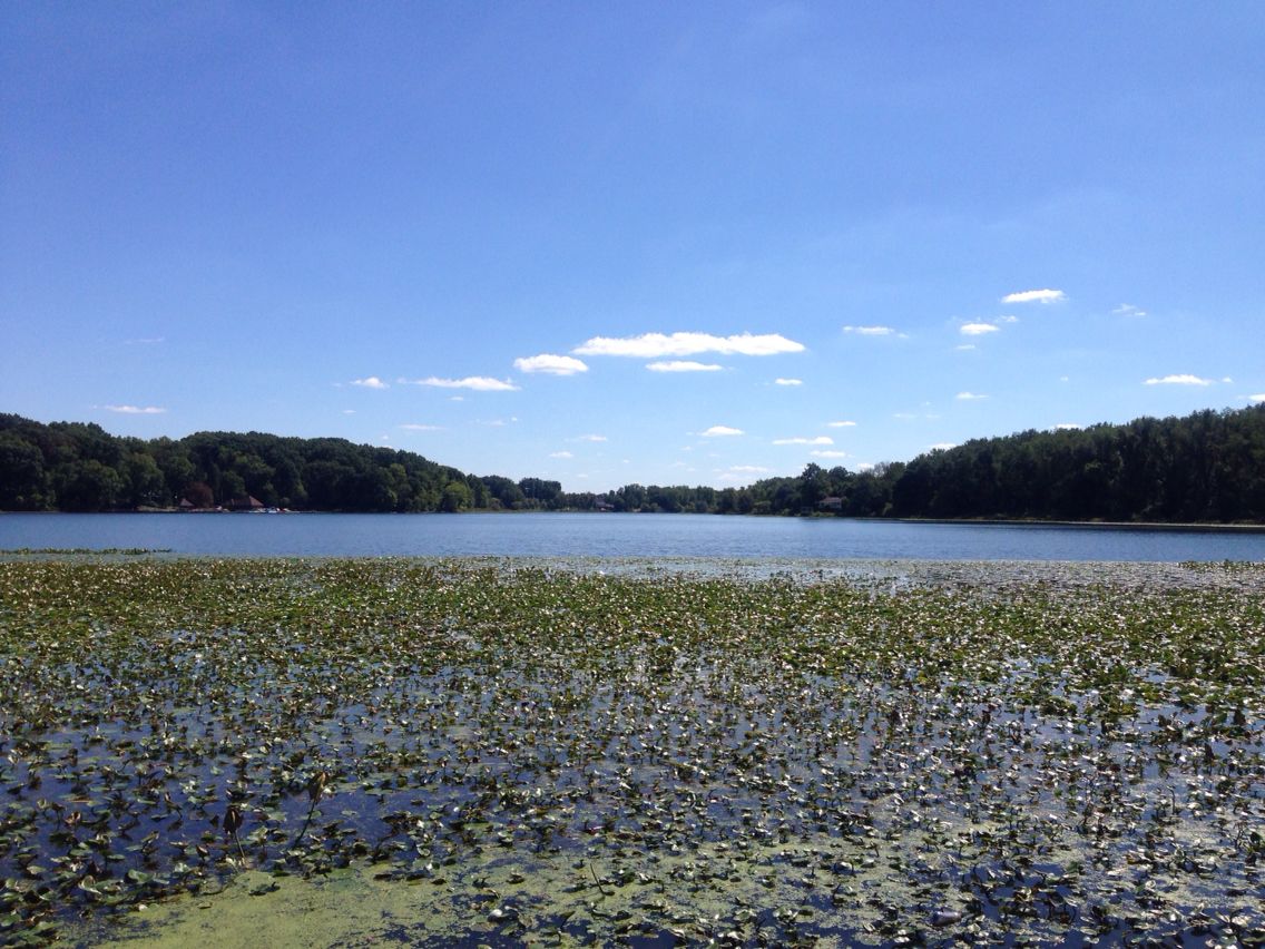 Sippo Lake Park