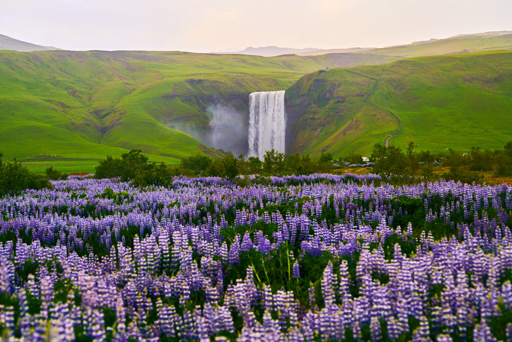 Skógafoss Waterfall